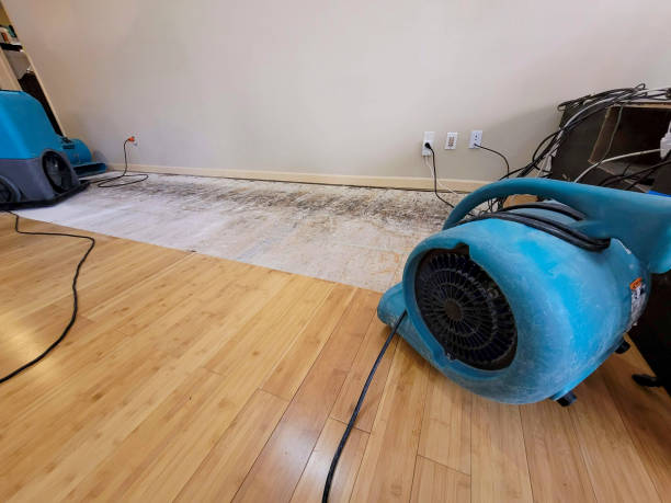 Professional Burst Pipe Water Damage technician working in Johnstown, NY
